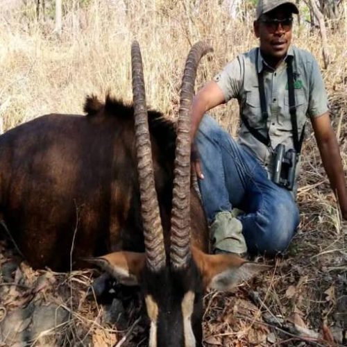 Kabubi Safaris and Tours Tanzania Ltd (12)