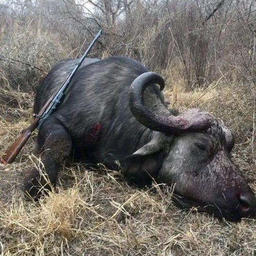 Kabubi Safaris and Tours Tanzania Ltd (22)