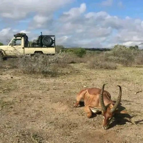 Kabubi Safaris and Tours Tanzania Ltd (26)