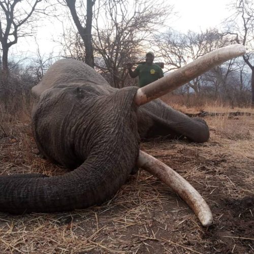 Kabubi Safaris and Tours Tanzania Ltd (31)