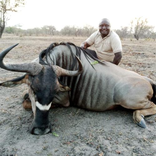 Kabubi Safaris and Tours Tanzania Ltd (38)