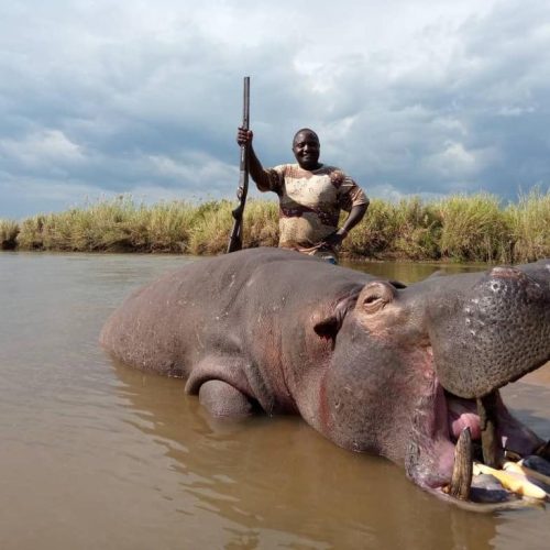 Kabubi Safaris and Tours Tanzania Ltd (40)