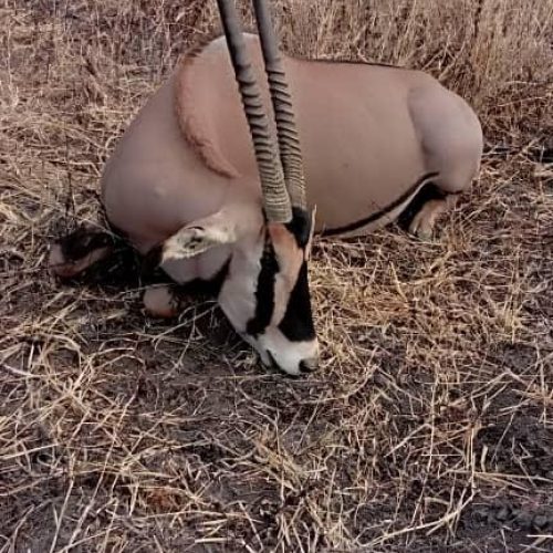 Kabubi Safaris and Tours Tanzania Ltd (41)