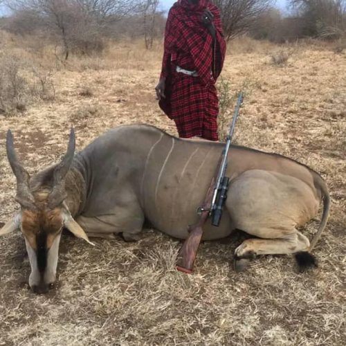 Kabubi Safaris and Tours Tanzania Ltd (5)