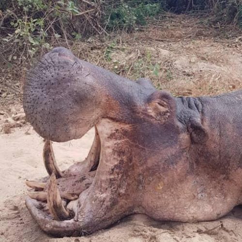 Kabubi Safaris and Tours Tanzania Ltd (9)